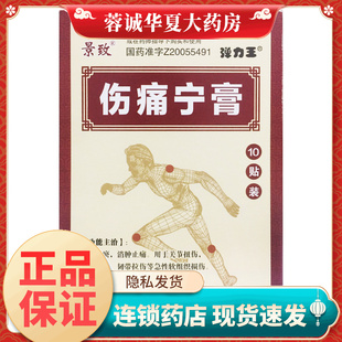 景致 10贴 伤痛宁膏 10CM 盒消肿止痛扭伤肌肉拉伤 7CM 正品