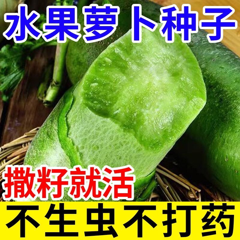冰糖水果萝卜生吃脆甜农家蔬菜四季高产易播种阳台盆栽沙窝绿萝卜,鲜花速递/花卉仿真/绿植园艺,家庭园艺种子,淘宝优惠券,粉丝福利购,淘宝优惠卷