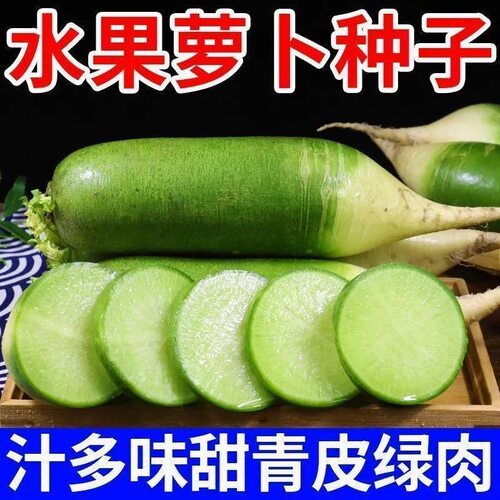 水果萝卜种子沙窝萝卜种籽凤梨冰糖心青萝卜四季种植蔬菜大全种孑
