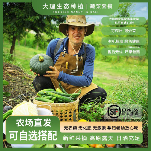 云南蔬菜套餐现摘当季生态可自选