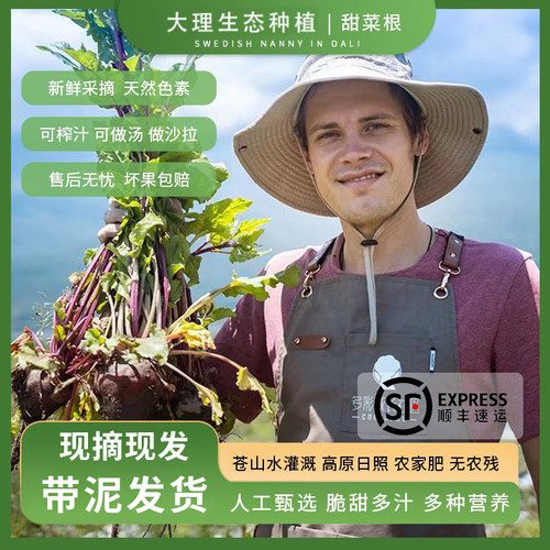甜菜根大理带泥现挖生态顺丰生吃