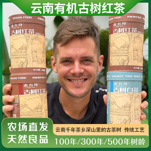 云南百年茶乡深山古茶红茶原生态