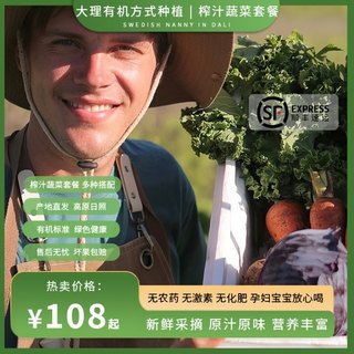 云南榨汁蔬菜套餐多种搭配有机方式种植生吃即食新鲜无农残包顺丰