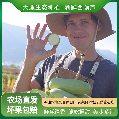 西葫芦有机方式种植大理现摘辅食