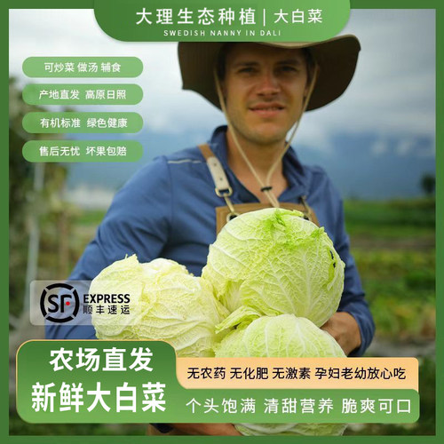 大白菜娃娃菜现摘原生态云南顺丰