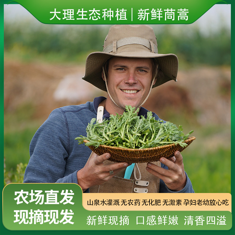 云南生态种植茼蒿菜新鲜蔬菜时令皇帝菜鲜嫩火锅菜绿叶菜现采顺丰