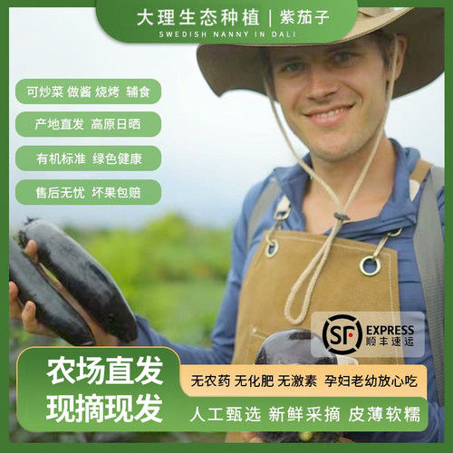 紫皮茄子生态大理露天现摘包顺丰