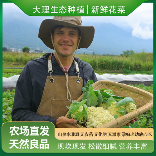 花菜新鲜大理老品种顺丰现摘生态