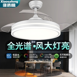 吊扇灯吸顶家用一电扇吊灯隐形大风体客厅餐厅卧室 风扇灯2025新款
