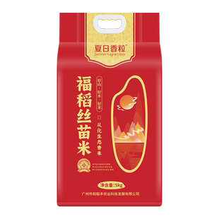 夏日香粒福稻丝苗米 当季新米从化长粒香广东5kg大米真空包装