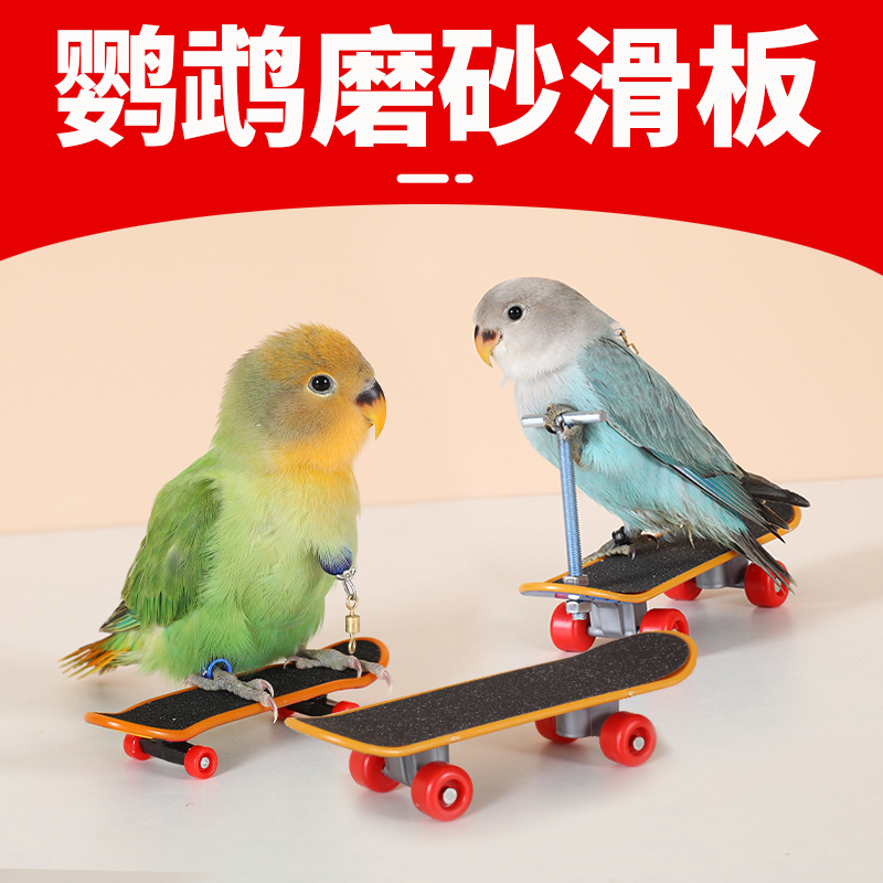 牡丹鹦鹉滑板车虎皮玄凤玩具解闷自嗨解压啃咬小鸟益智陪伴训练