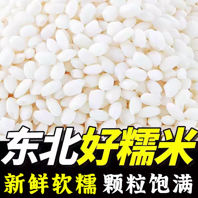 正品东北糯米新米5斤包粽子专用圆糯米白江米酿酒农家新鲜杂粮