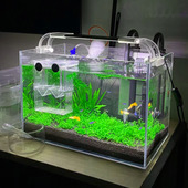 生态过滤循环系统玻璃鱼缸乌龟水草种子籽植物真草造景器材料大全