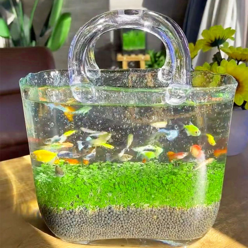 生态玻璃鱼缸小型乌龟饲养缸水草
