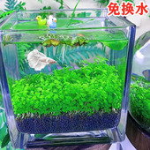 桌面斗鱼适用小型鱼缸创意微景观加厚桌面缸造景玻璃造景缸积木盒