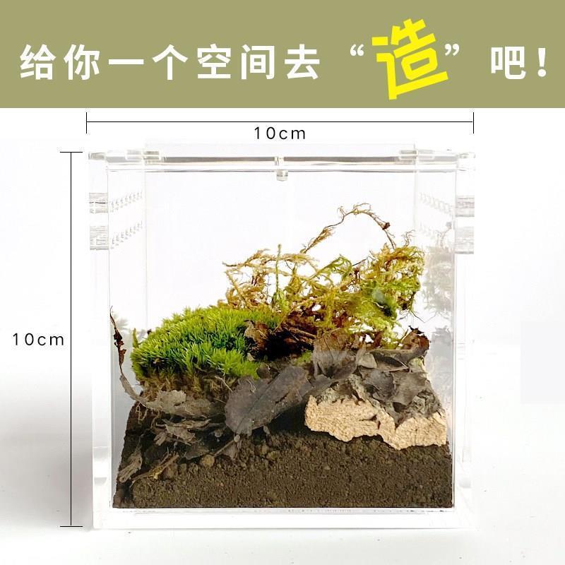桌面迷你雨林缸 鱼缸 爬宠缸捕鸟蛛角蛙蝎子鼠妇树蛙孔雀鱼饲养盒
