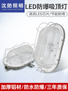 深方Led防爆吸顶灯20W椭圆形防潮灯IP65防水防尘新能源车厂照明