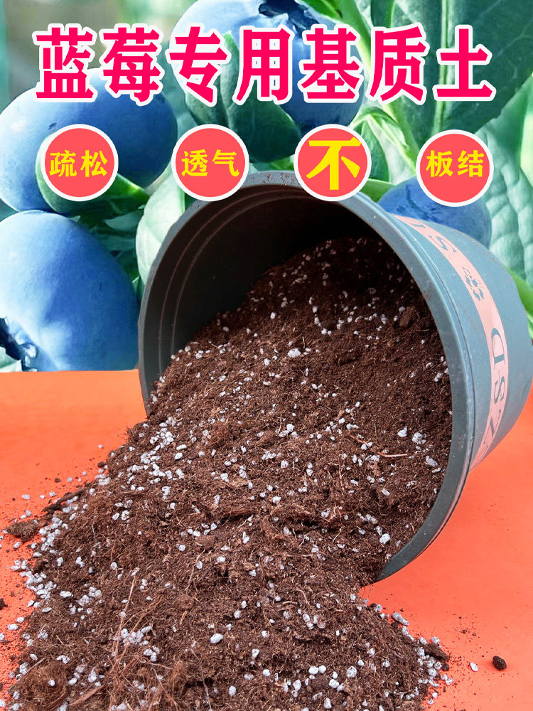 蓝莓基质酸性土松软透气不板结