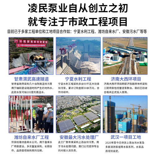 凌民泵业QD多级潜水泵家用高扬程抽水泵农用灌溉高压小老鼠清水泵