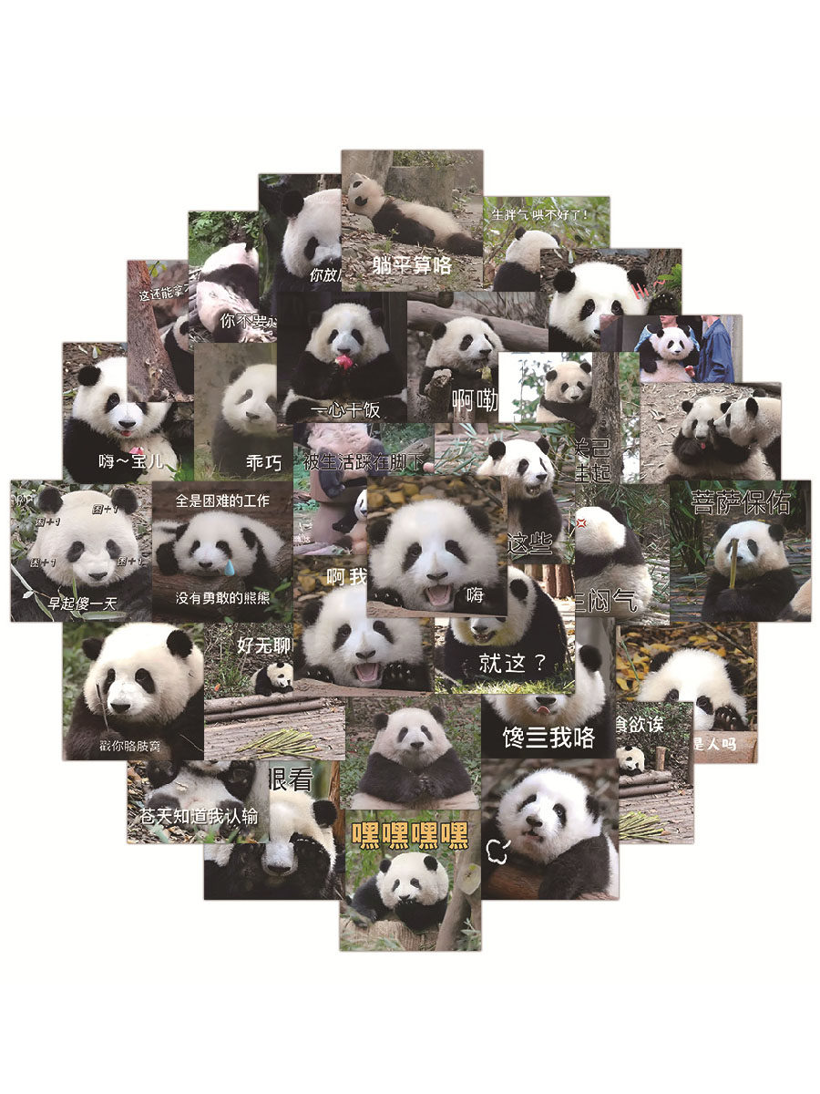 60张大熊猫花花表情包开心搞笑装饰贴画手账笔记本保温杯水杯电脑旅行