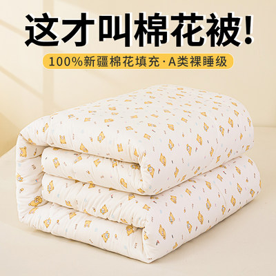 新疆长绒棉100%纯棉棉花被