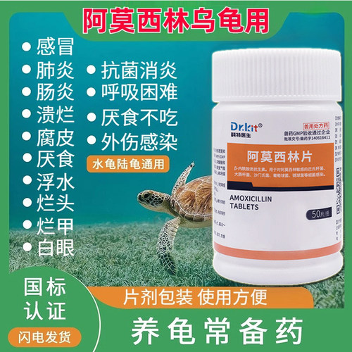 乌龟感冒肺炎药阿莫西林乌龟用药
