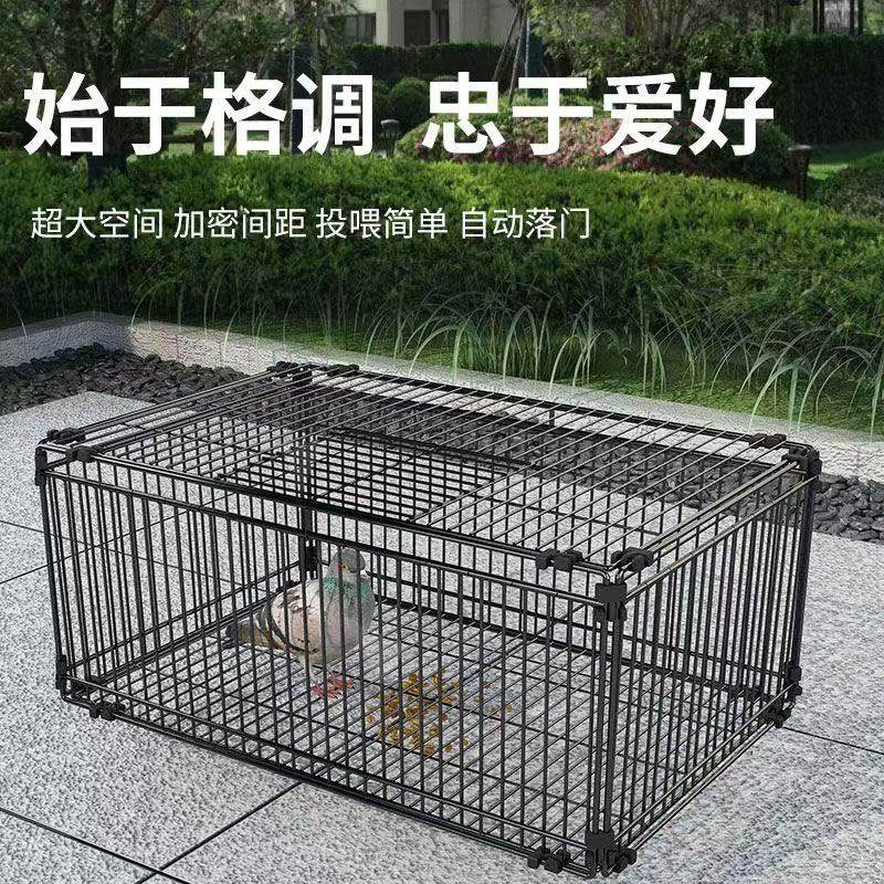 全自动鸟笼加密防锈撞门笼