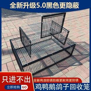 新款抓鸡神器户外全自动加密只进不出野外室外收鸽子鸟防锈笼网