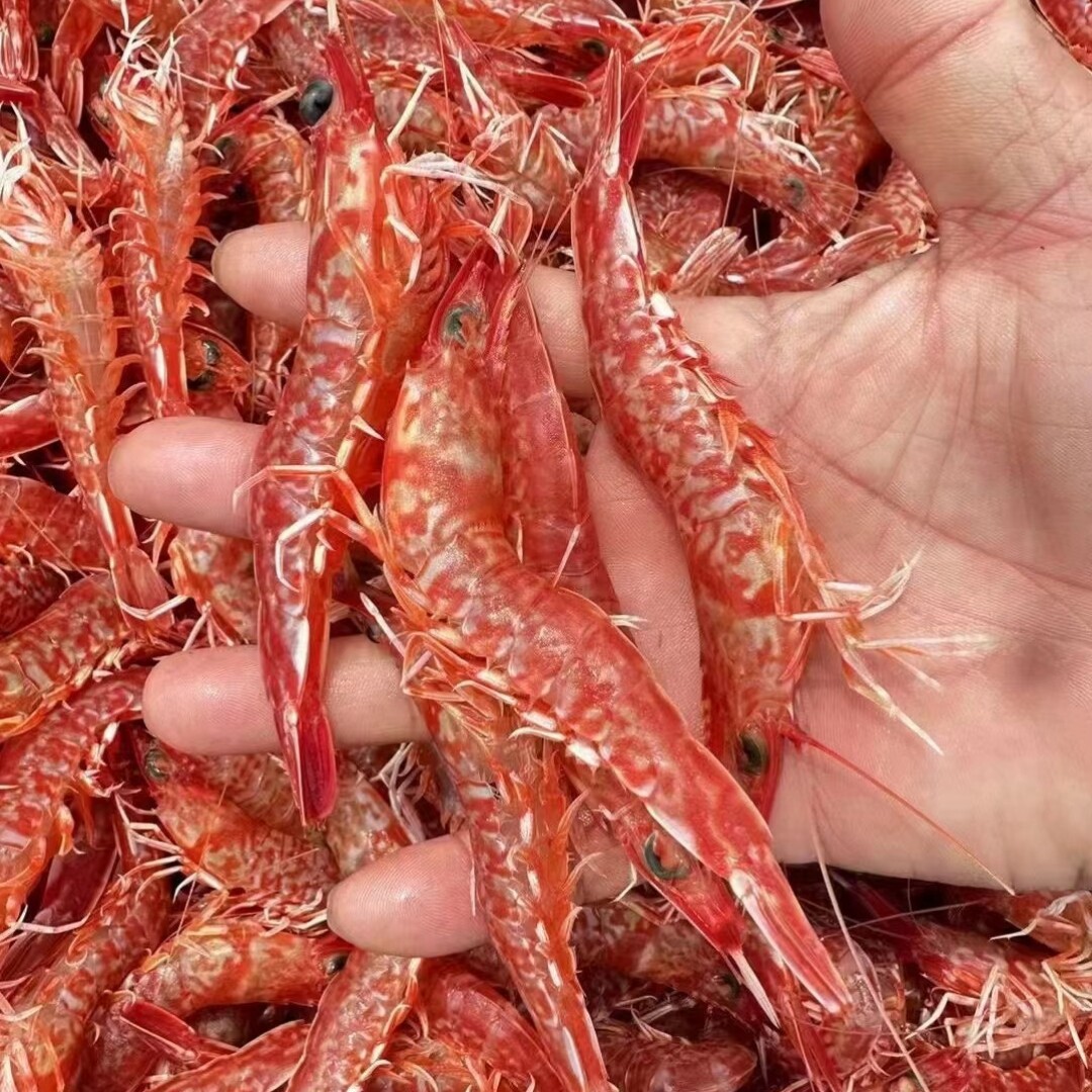 樱花虾野生刺身生腌海鲜水产鲜活冷冻玫瑰虾东山岛海鲜海捕火焰虾