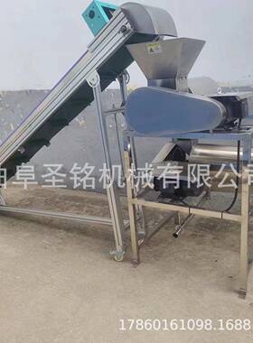 全自动青梅去核打浆机 双道芒果去核榨汁机 菩提果椰枣去核打浆机
