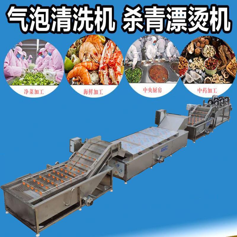 蔬菜漂烫预冷流水线 水果清洗灭菌流水线 多功能蔬菜杀青流水线