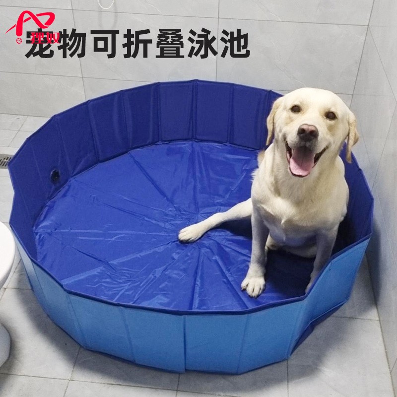 室内外狗狗易收纳猫咪游泳水盆