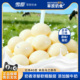 雪原奶酪球150g原味奶豆儿童高营养健康即食休闲内蒙古特产零食