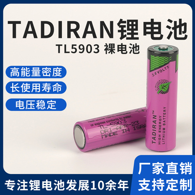 SL-3606ES7971-0BA00电池5号