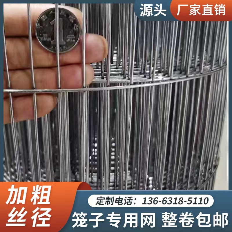 倍安护衡水铁焊接牢固电焊网防锈