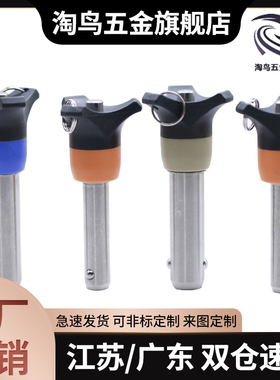 BLP5/6/8/10/12/16-10/15/20/25C/30/40/50/60/80/球头锁紧销ZAA0