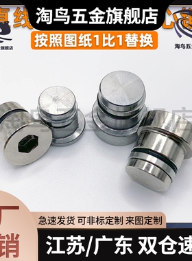 直线导轨定位销偏心销 LLT LLTS 1.4/1.8/3.5/5 ICE11-T ICE12-T5