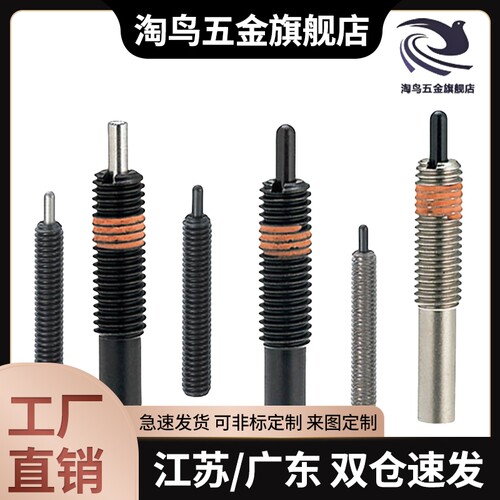 ZAP03-M10/M12/M16-H5/H10/H15/H20 不锈钢定位柱 弹簧柱塞 ZAP04
