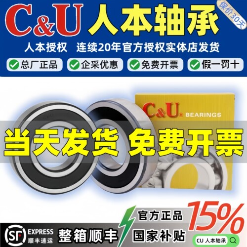 人本轴承6300 6301 6302 6303正品6304 6305 6306 6307RZ6308大全