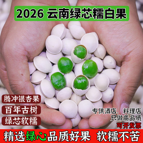 云南古树糯白果银杏果新鲜白果