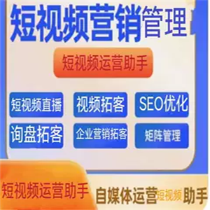 同城企业品牌网络公司微信小程序商城询盘抖音短视频搜索拓客系统