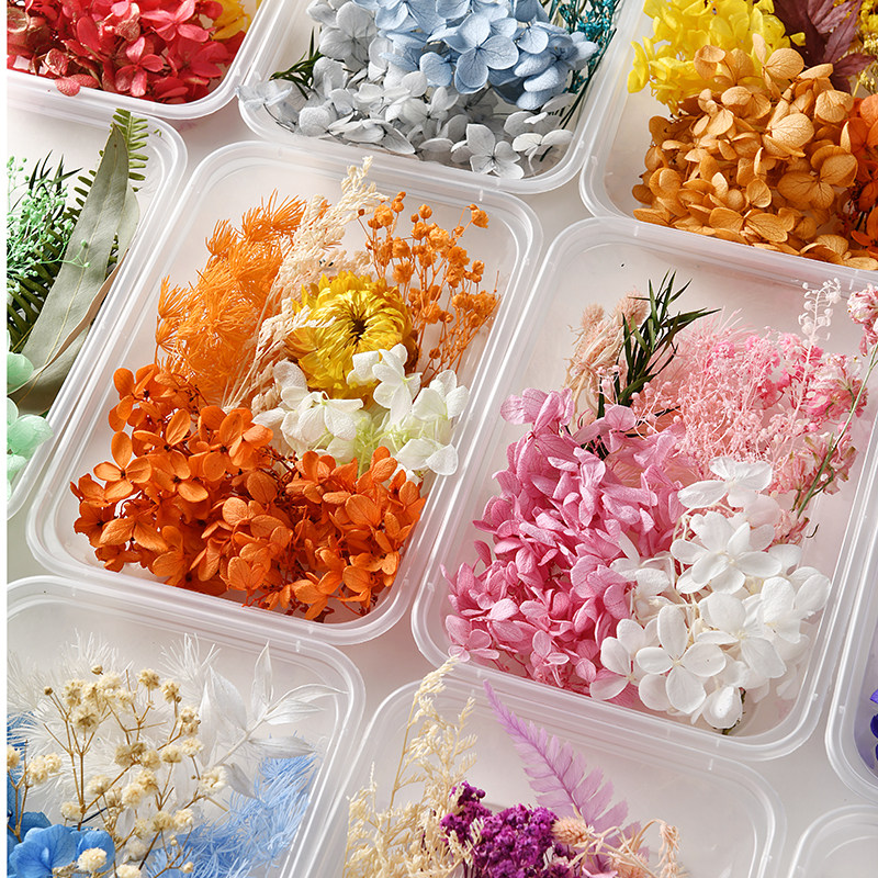 混合永生花干花diy材料包真花自然风干香薰蜡烛团扇相框装饰材盒,鲜花速递/花卉仿真/绿植园艺,永生花,淘宝优惠券,粉丝福利购,淘宝优惠卷