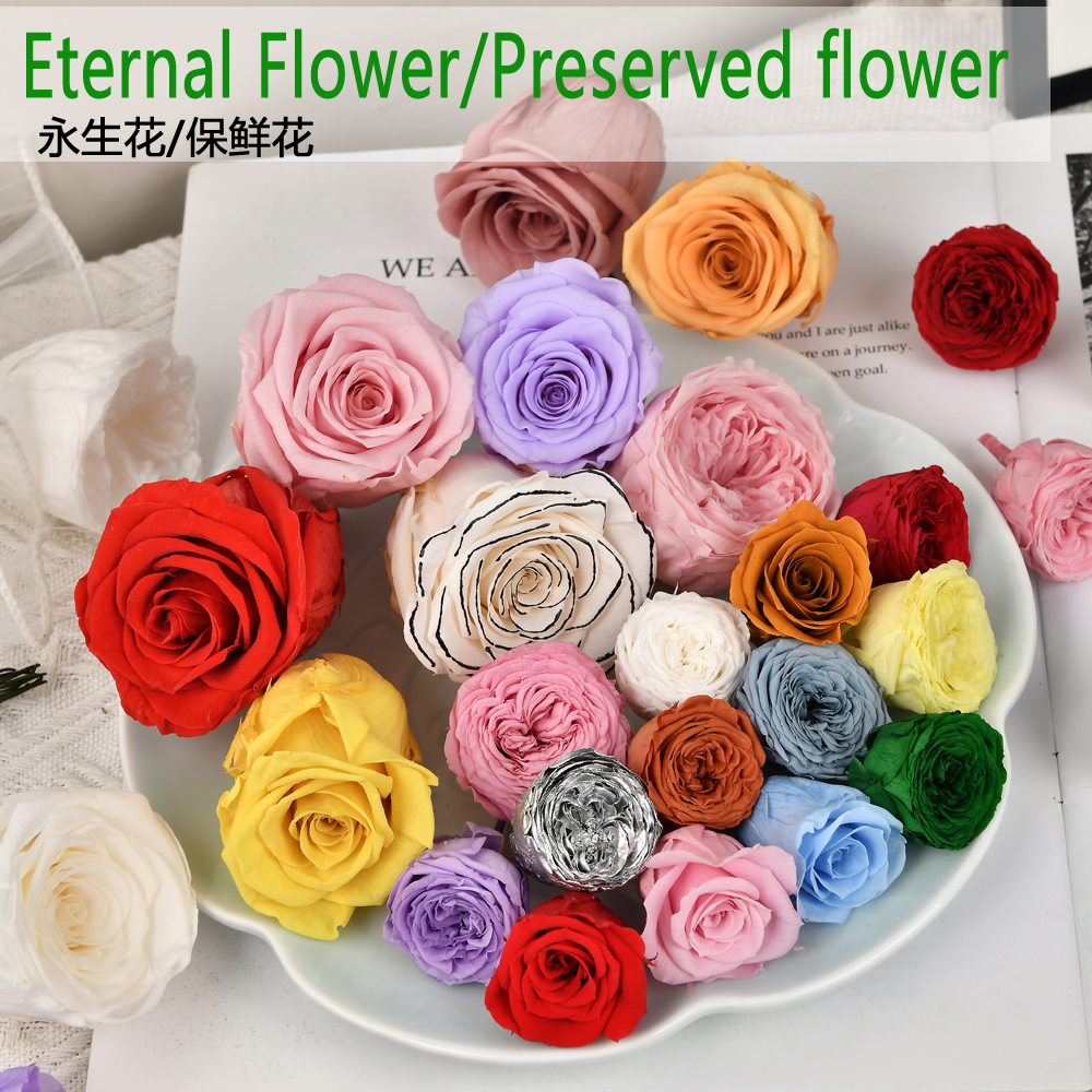 A级奥斯汀永生花小玫瑰单朵手工diy装饰花盒玻璃罩材料包保鲜花