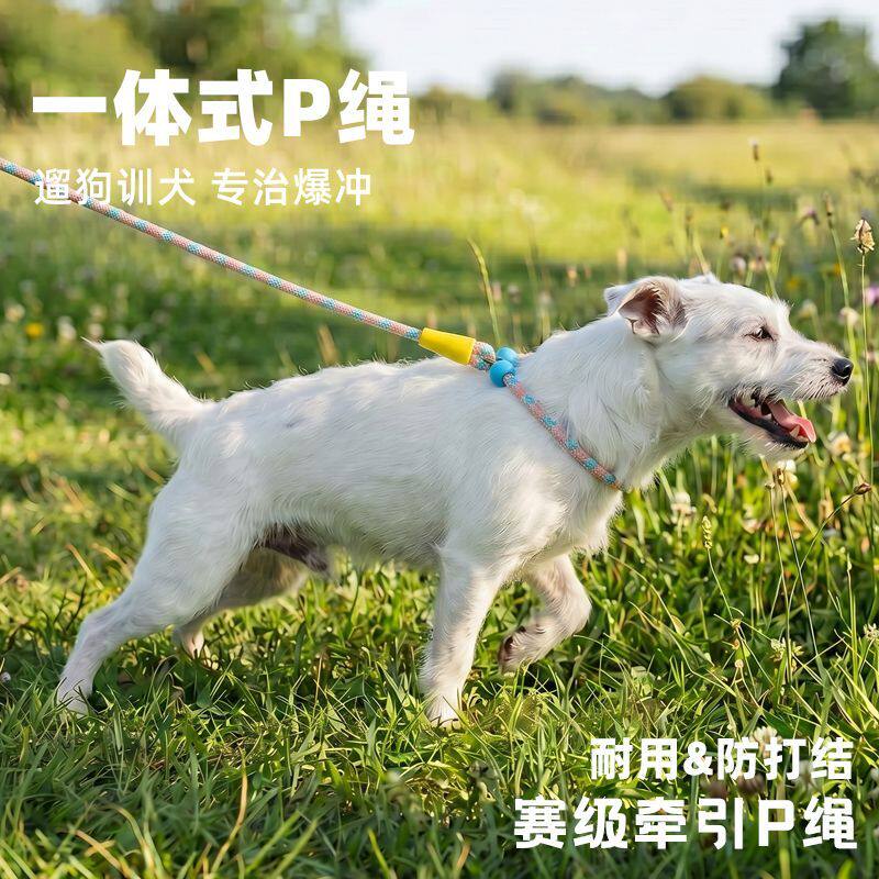 狗狗一体式防打结牵引绳夜间反光P型宠物牵引绳防挣脱防爆冲设计