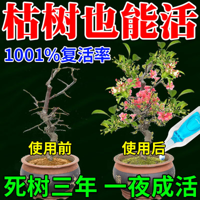 植物再生剂浓缩营养液复活液