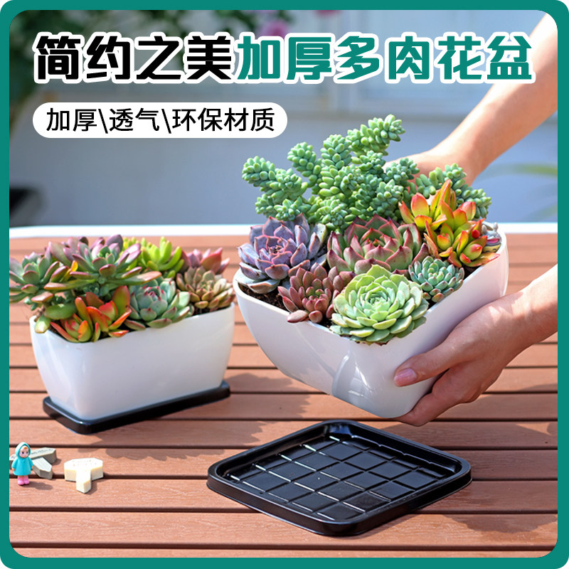 多肉花盆仿陶瓷小号大口径长方形家用带托盘创意塑料吊兰花盆专用