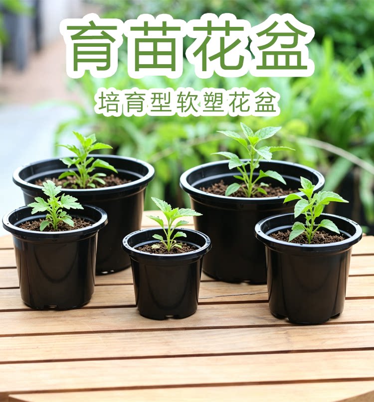 单色硬盆 多次性育苗盆 家用多肉育苗盆营养杯种植盆简易草莓花盆图片