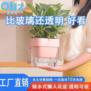 欧林泽绿萝自吸水花盆水培家用透明懒人盆盆栽专用水养树脂盆塑料