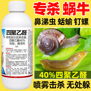 拳利 40%四聚乙醛植物蔬菜蜗牛药蛞蝓鼻涕虫滩涂钉螺杀螺剂杀虫剂
