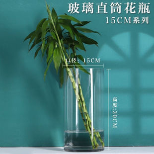 特大号落地富贵竹花瓶玻璃插花花瓶摆件客厅花瓶玻璃水养花瓶口径